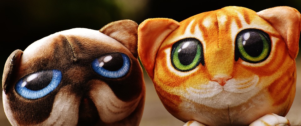 peluche interactive